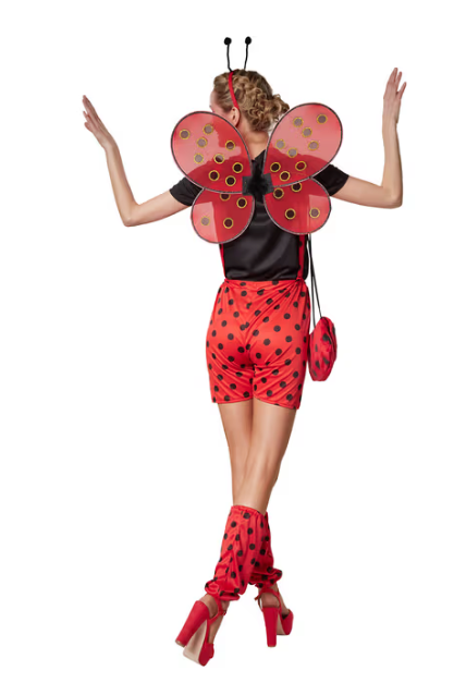 DressForFun – Marina Lieveheersbeestje Kostuum – Maat S – Rood & Zwart Polyester – Gestippelde Tuinbroek & T-shirt – Inclusief Beenwarmers & Haarsieraad – Carnavalskleding voor Dames