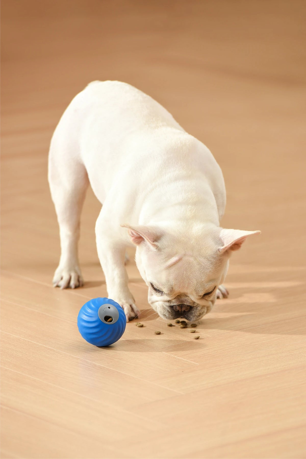 Petgravity Snack Shack Ball Blue