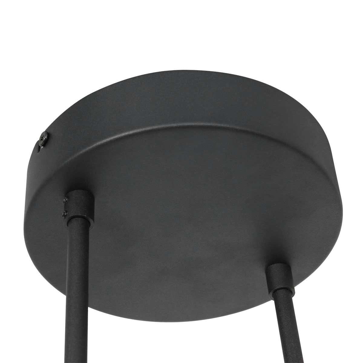 Steinhauer - hanglamp - Turound - zwart - glas metaal - design lamp - LED - 3512ZW