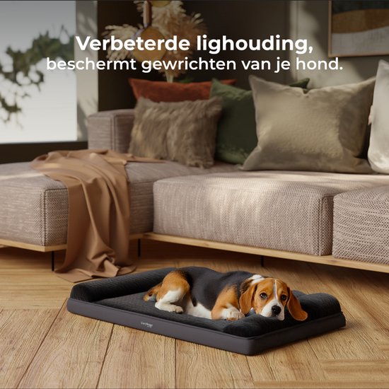 CozySense® Orthopedisch Hondenkussen - 60 X 42 cm - Maat S - Waterdicht - Geschikt Als Benchkussen & Hondenbed - Wasbare Hoes - Zwart