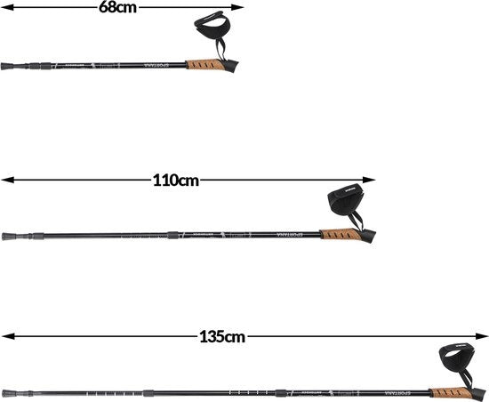 Nordic Walking Stokken – Telescopisch – 2 Paar – Grijs