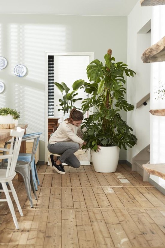 Elho Brussels Rond Wielen 35 - Grote Bloempot voor Binnen - 100% Gerecycled Plastic - Ø 35 x H 33 cm - Wit