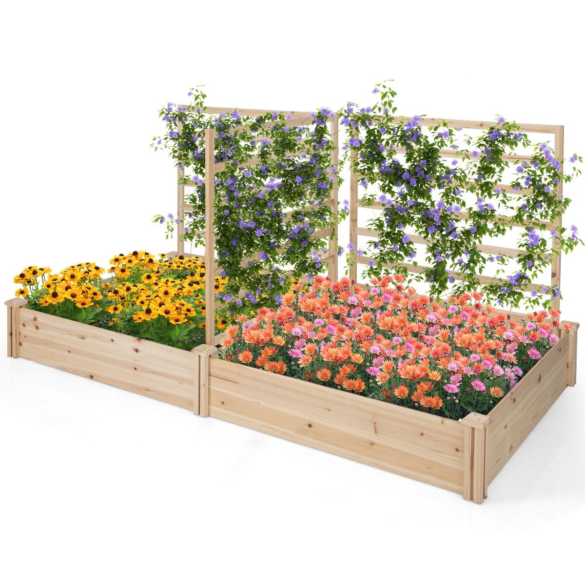 Coast Houten Plantenbak met 3 Klimrekken - Verhoogd Tuinbed - Open Bodem - Natuurlijk Dennenhout - 222 x 114 x 110 cm