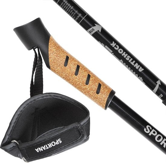 Nordic Walking Stokken – Telescopisch – 2 Paar – Grijs