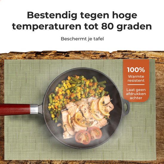 Castagnola Placemats - Placemat van Kunststof - Onderlegger - Onderzetter - Placemats Plastic en PVC - 6 Stuks - 45 x 30 cm - Groen