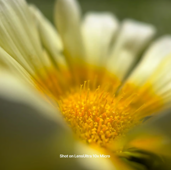 Shiftcam LensUltra 10x Traditional Macro - 10x Optische Vergroting - DSLR-kwaliteit Optisch Glas - M37 Schroefdraad - S.Mount