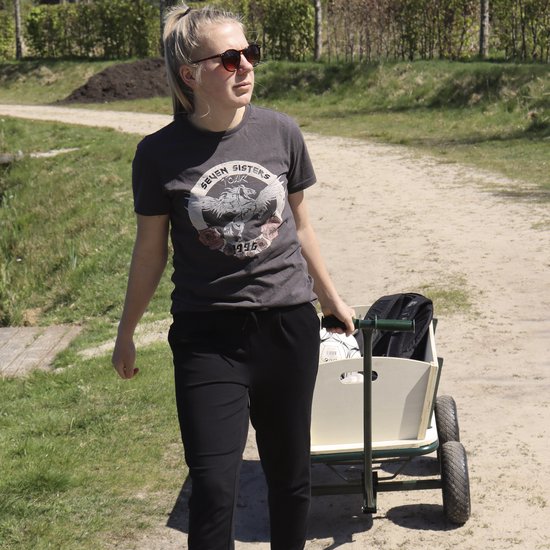 Sunny Billy Beach Wagon Bolderkar Groen - Blank hout - Bolderwagen met luchtbanden - 94x61x97cm