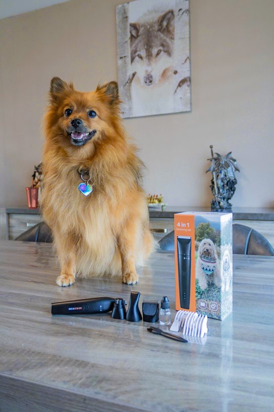Dutchwide Honden Katten tondeuse - Voor dikke vacht - Draadloos - Trimmer