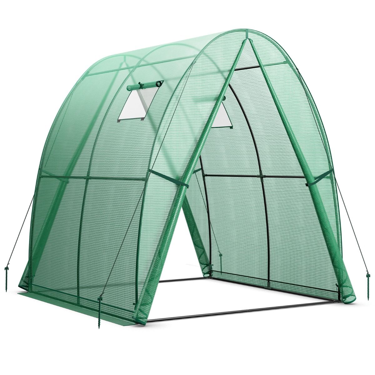 Coast Draagbare tunnelkas - 2 deuren met rits - 2 oprolbare horren - groen 181 x 181 x 200 cm
