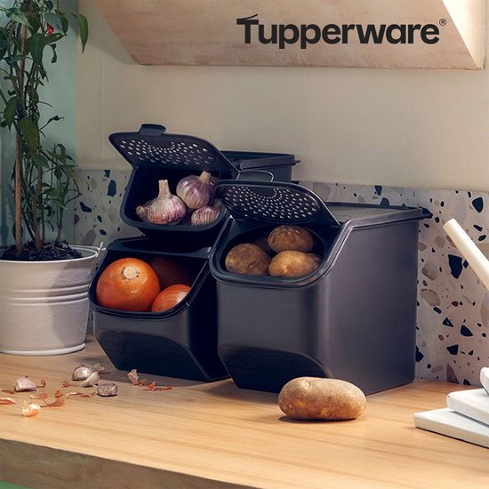 Tupperware GarlicSmart 2,3L - Knoflookcontainer - BPA-vrij - Voorraadbak voor Knoflook - stapelbaar - Keep-fresh Container - Knoflook blijft langer vers
