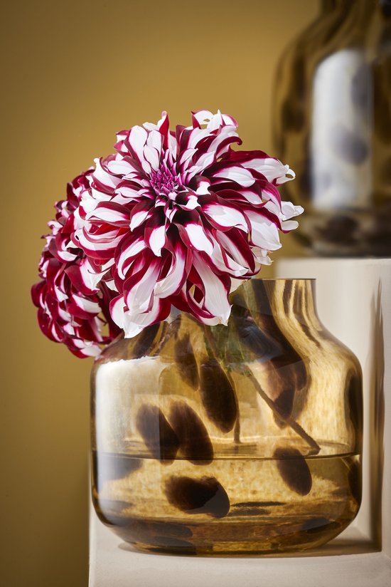 Mica Decorations Pantera Vaas - Glas - Bruin met Luipaardprint - 27x26 cm