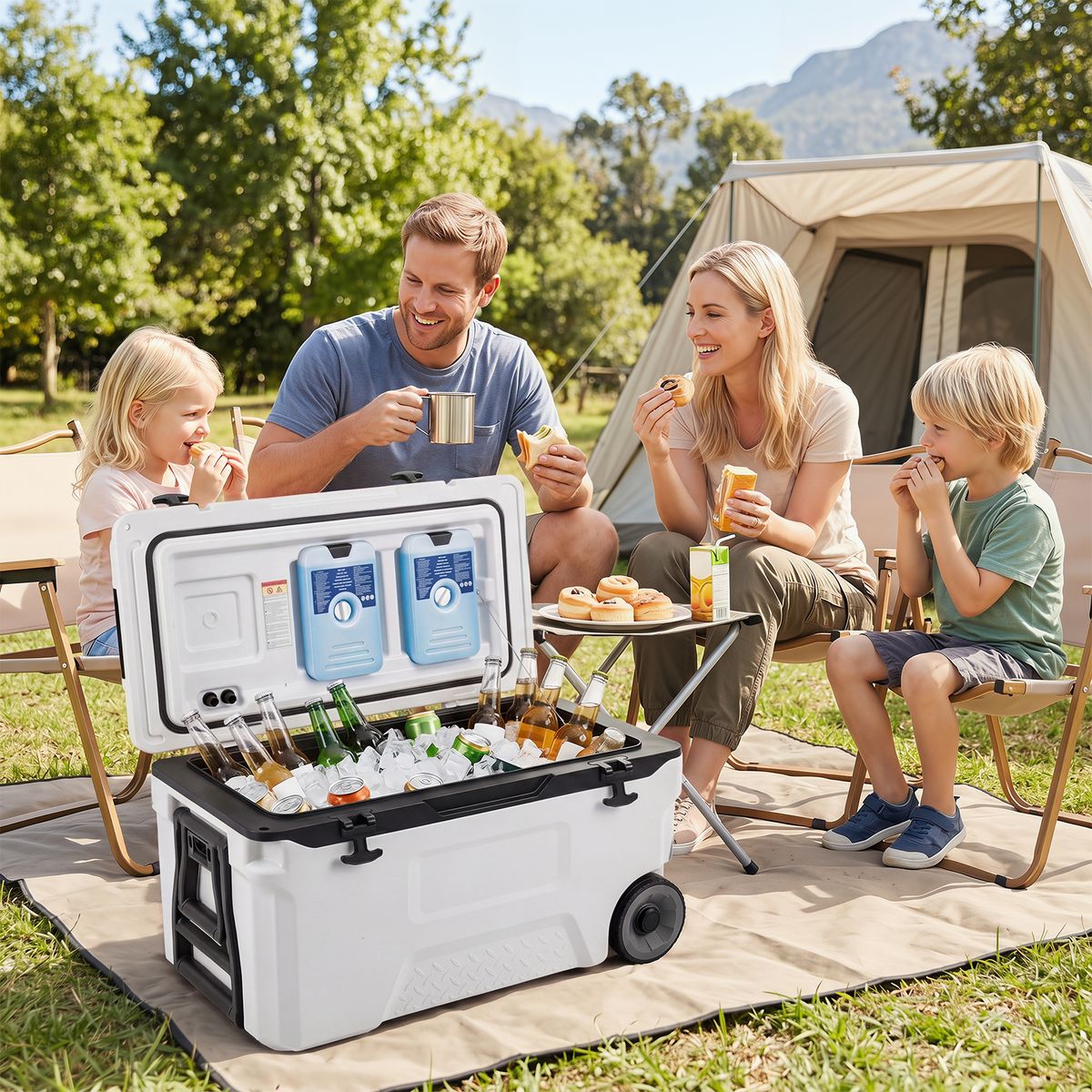 Coast Koelbox - met wieltjes en handgreep - afvoerstop - wit 50 L / maat M