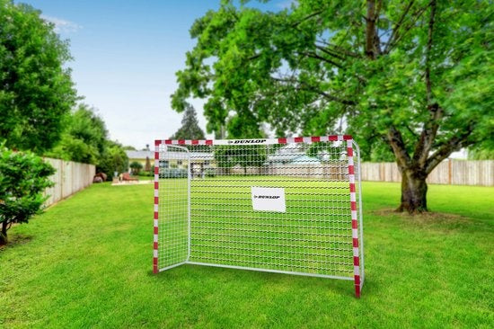 Dunlop Voetbaldoel - Inclusief 7 Grondhaken - Metaal - 300 x 200 x 110 cm - Wit/ Rood