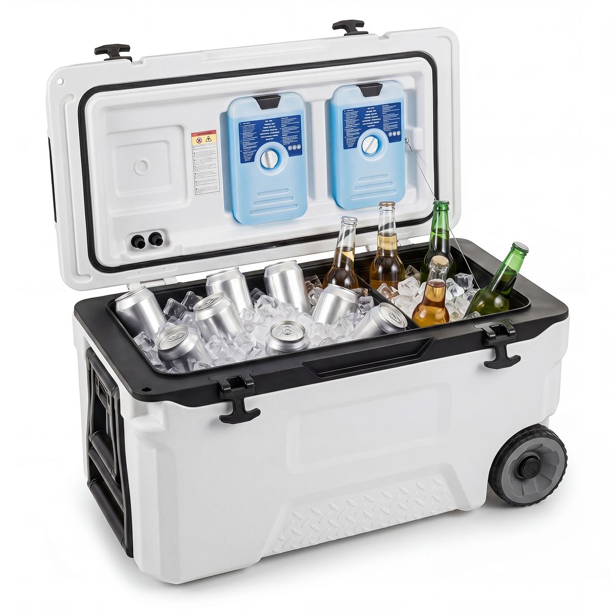 Coast Koelbox - met wieltjes en handgreep - afvoerstop - wit 50 L / maat M