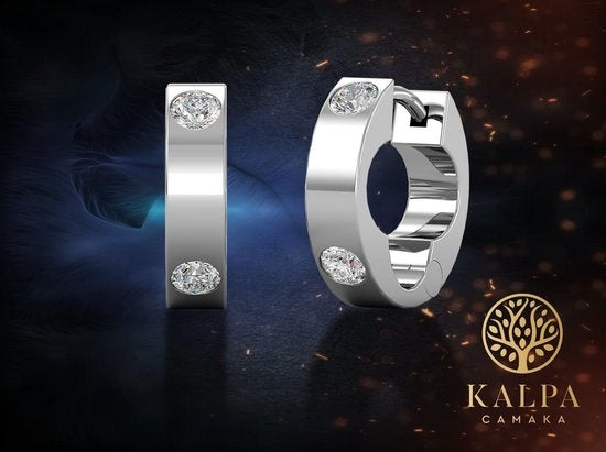 Zilverkleurige Oorringen met Kristallen – 18K Witgoud Verguld – Luxe Giftbox – Dames Oorbellen Cadeau
