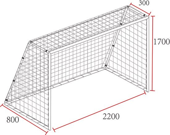 AXI Voetbaldoel Kylian 220x170cm Antraciet - Incl. grondankers - gepoedercoat stalen frame