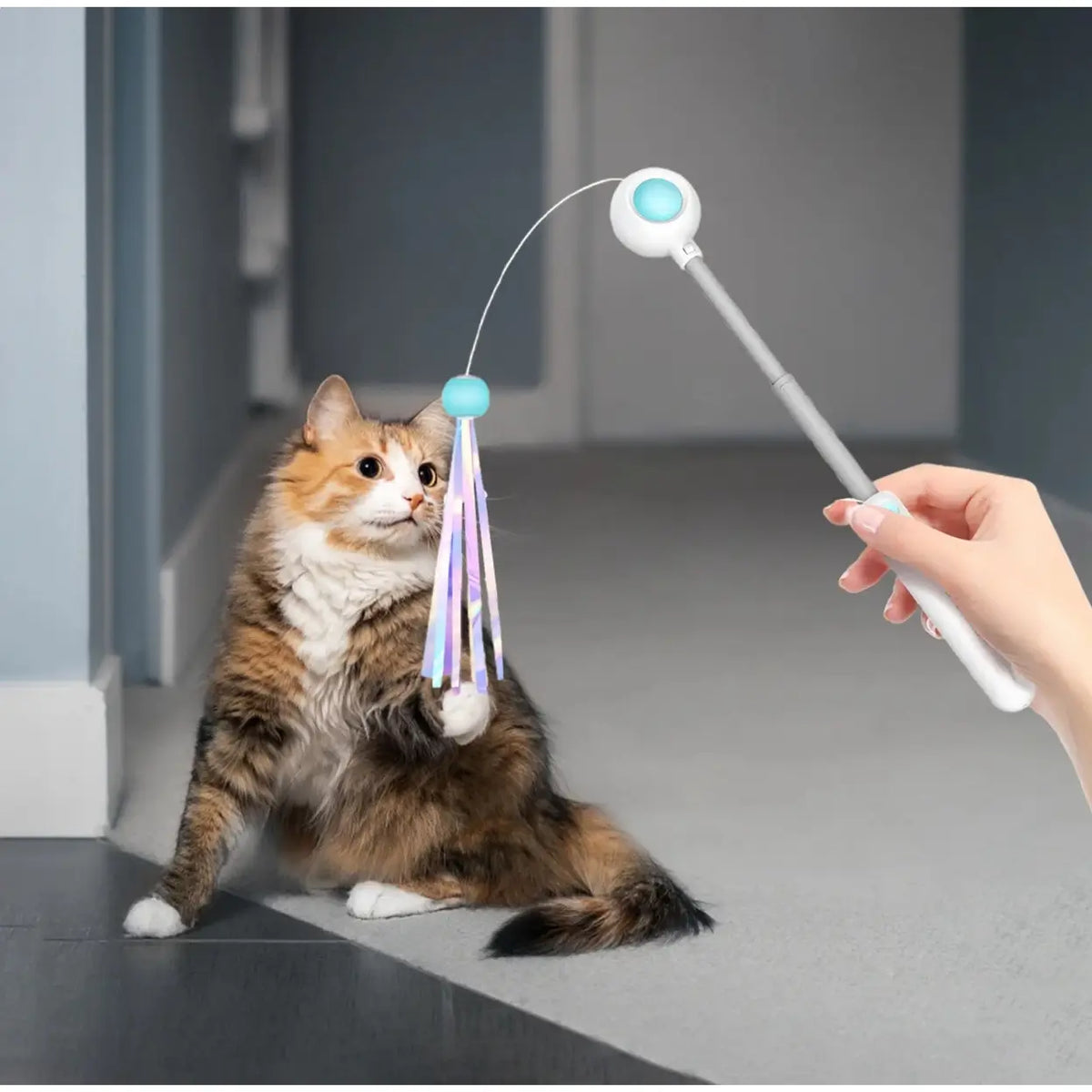Petgravity uitschuifbare kattenhengel - blauw