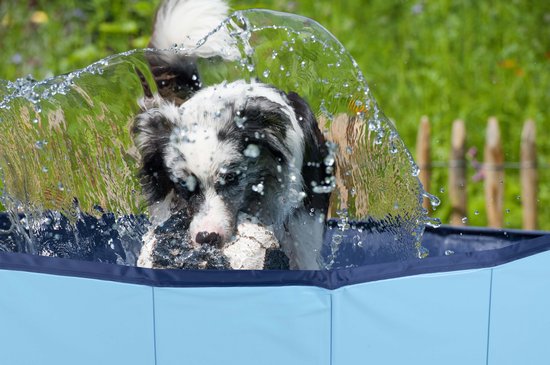 maxxpro Hondenzwembad - 160 x 30 CM - Grote Hondenrassen - Opvouwbaar Honden Bad - Anti-Slip Bodem - met Leegloopventiel - Blauw
