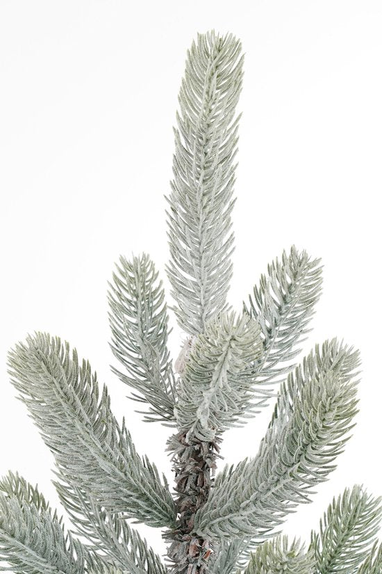Black Box Trees Nagoya kerstboom groen frosted 212 TIPS - h120xd60cm