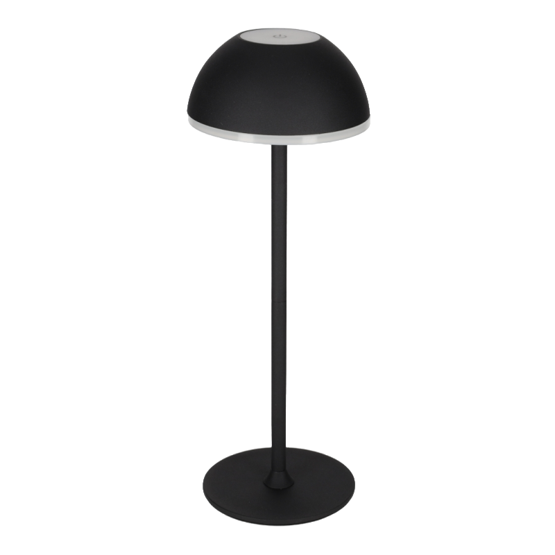 ProGarden Feest Lichtsnoer 7,5m 50 Micro-LED Buitenverlichting EDCB60022