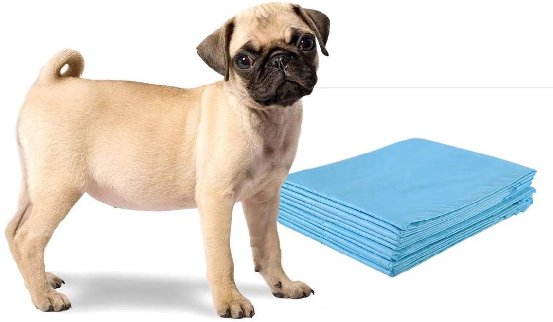 Coast Training Pad Dog Puppy Pad Puppy Hygiëne documenten Wegwerp pad Pipi-Pad 200 stuks