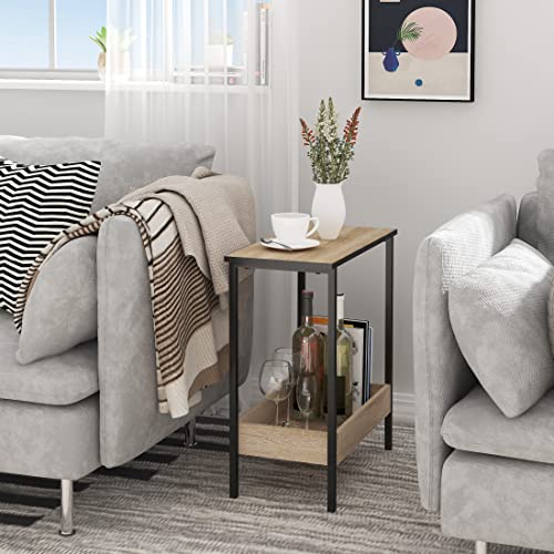 Woltu Salontafel met 2 Planken - Zwart Metaal en Licht Eiken - 50 x 55 x 25 cm