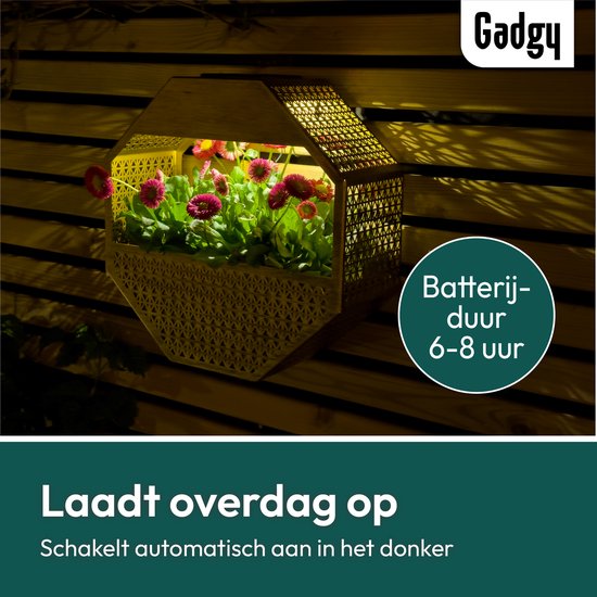 Gadgy Solar Gadgy Solar Wandlamp met Bloembak – Tuinverlichting op Zonneenergie – Buitenlamp met LED – 30x30 cm – Zwart Bloembak