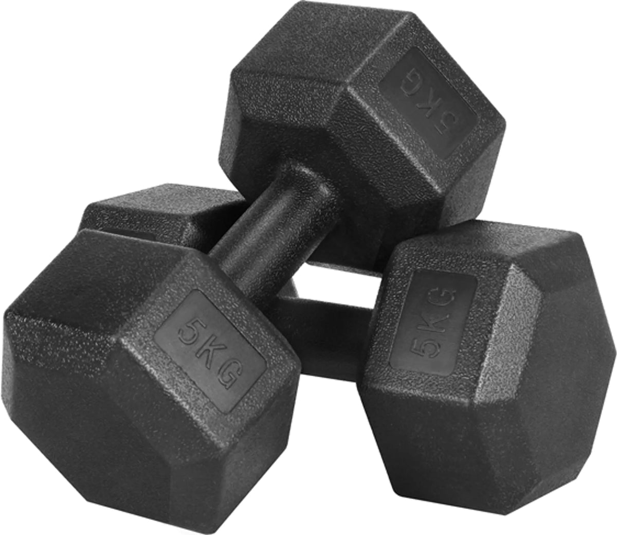 Yaheetech Dumbbells Set Van 2 x 5 kg – Voorzien Van Zeshoekige Kop En Anti-Roll Ontwerp En Kunststof Coating – Voor Krachttraining En Thuisgym – Zwart Kunststof En Beton – 28,5 x 15 x 13 cm