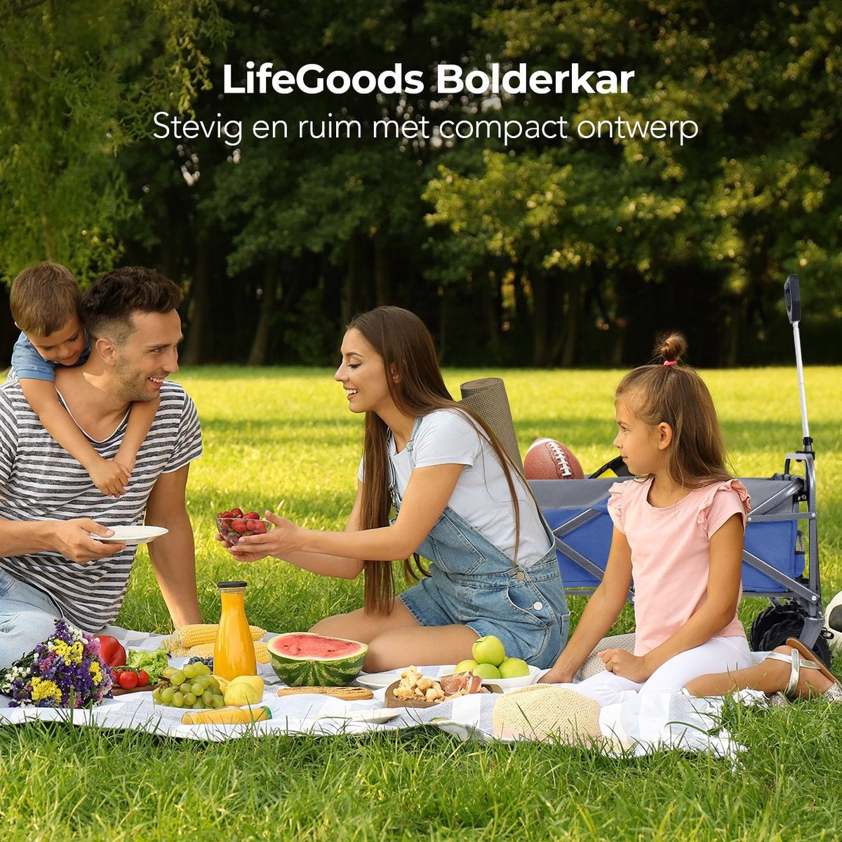 LifeGoods Bolderkar - Opvouwbaar - tot 80KG - 94L - Wasbaar Polyester - 98x45cm - Blauw/Grijs