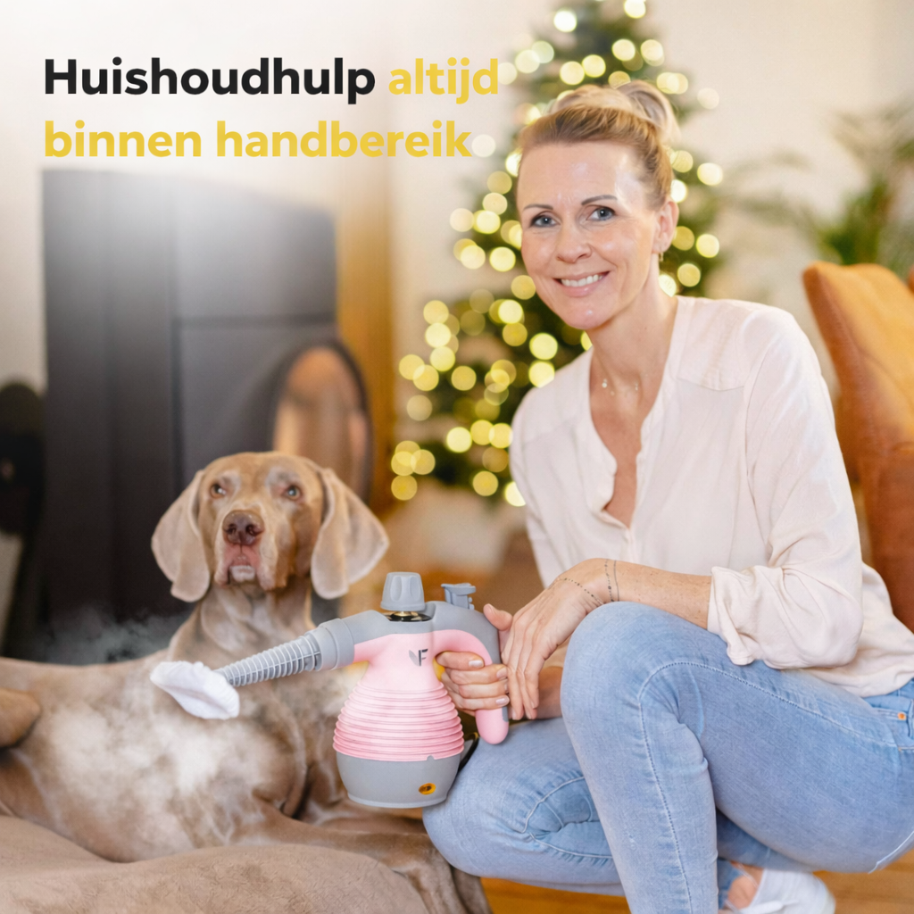 Hand stoomreiniger - Stoomregeling - Inclusief 10 accessoires - 350 ml tank - Roze
