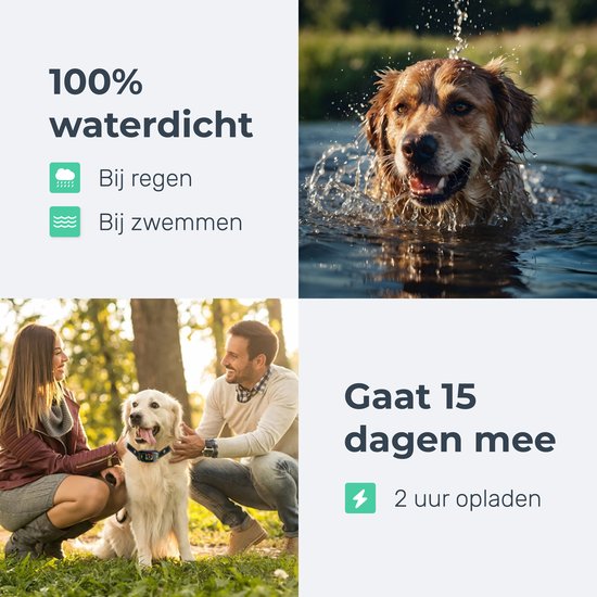 Dutchwide Anti-blafband Pro – 100% Waterdicht – Zonder Schokken – Oplaadbaar