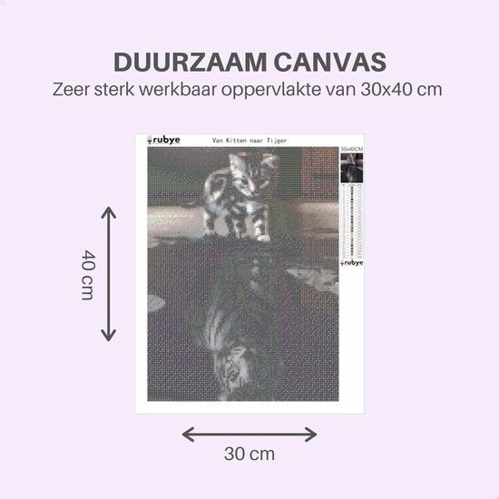 Rubye® Diamond Painting Volwassenen - Diamond Painting Kinderen - Diamond Painting Pakket Volledig - Kitten naar Tijger - 42x42cm