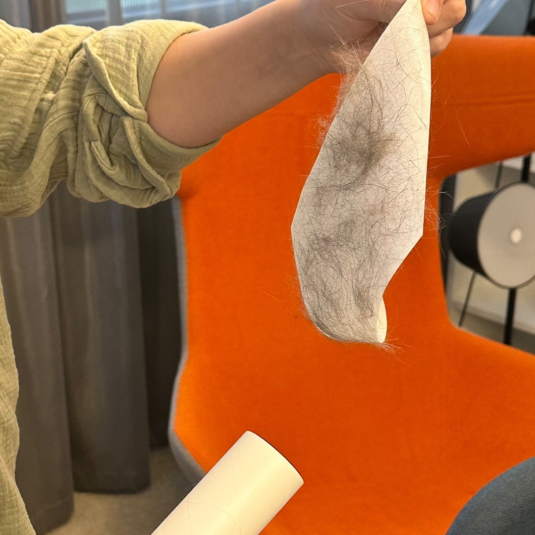 Livington Pluizenroller - Verwijdert Pluisjes en Haren - Herbruikbare Kleefrol - Geschikt voor Meerdere Oppervlakken