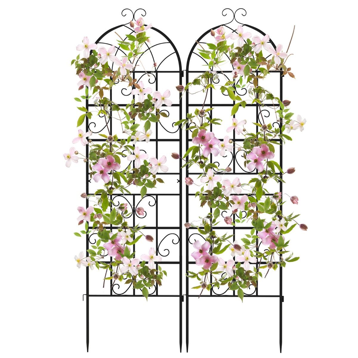 Coast Klimrek Set - 2-delig metalen plantenrek - vrijstaand tuinhek - 180 x 50 cm - zwart