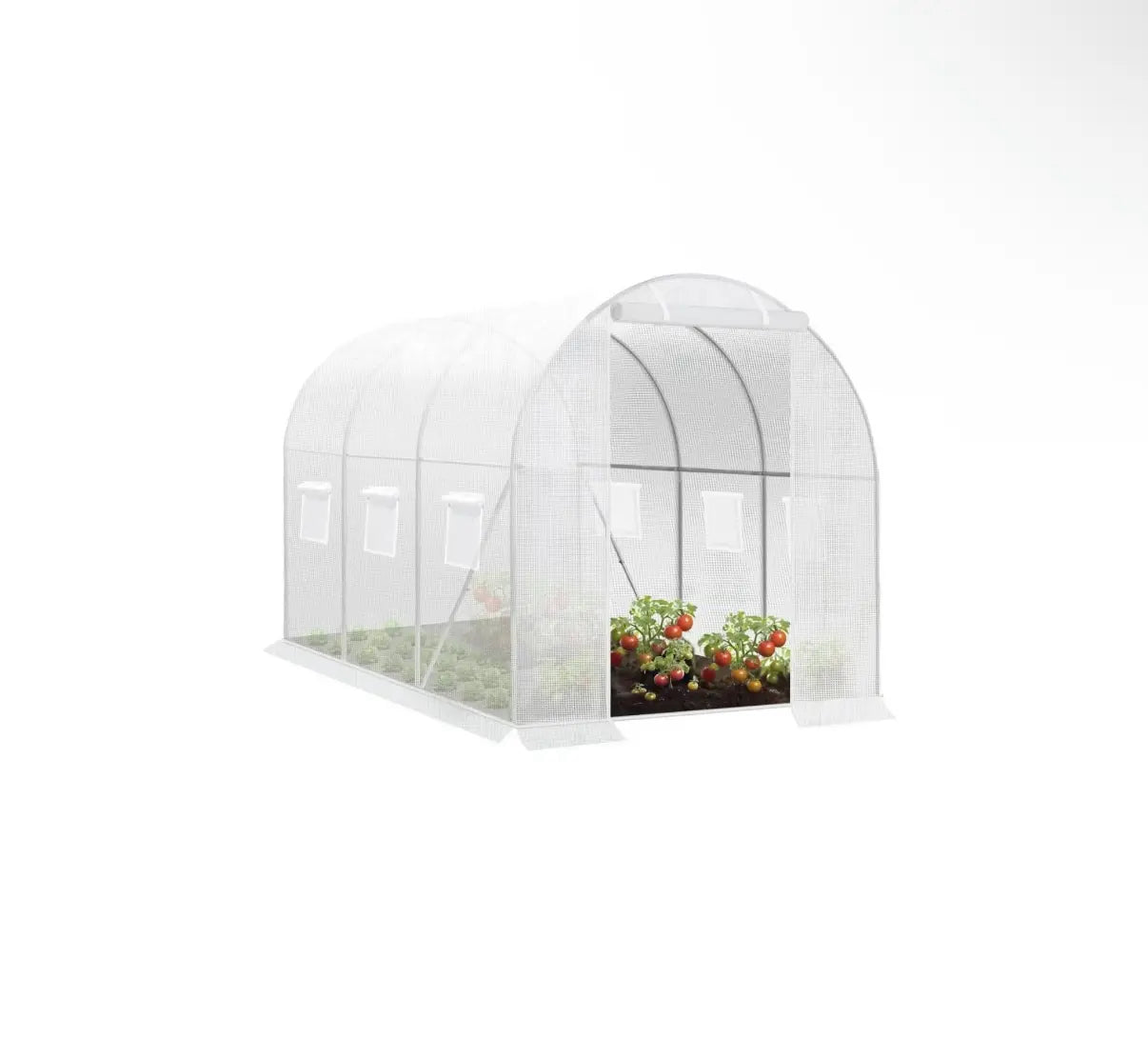 Woltu Foliekas 300x200x200 cm Wit - Ruime Tunnelkas met 6 Ramen en Ritssluiting