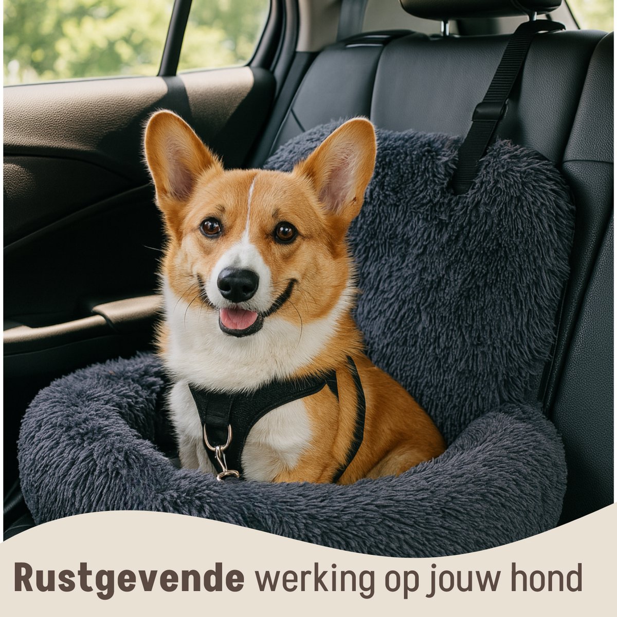 By Cee Cee – Autostoel Hond Deluxe – Maat M – Voorzien Van Veiligheidslijn En Foam Flakes Vulling En Afritsbare Hoes – Voor Achterbank – Donkergrijs Polyester