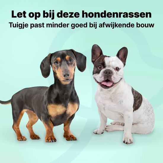 Jake and Jacky Hondentuigje - Anti-Trek Tuig - Hondenharnas - Y Tuig Hond - Reflecterend - Blauw - Maat XL