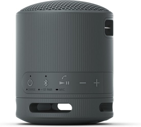Sony SRS-XB100 - Draagbare Bluetooth Speaker - Zwart