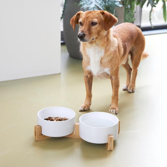 Voerbak Hond - Drinkbak - Met Bamboe Standaard - 2x 800 ml - Maat M - Wit Mat