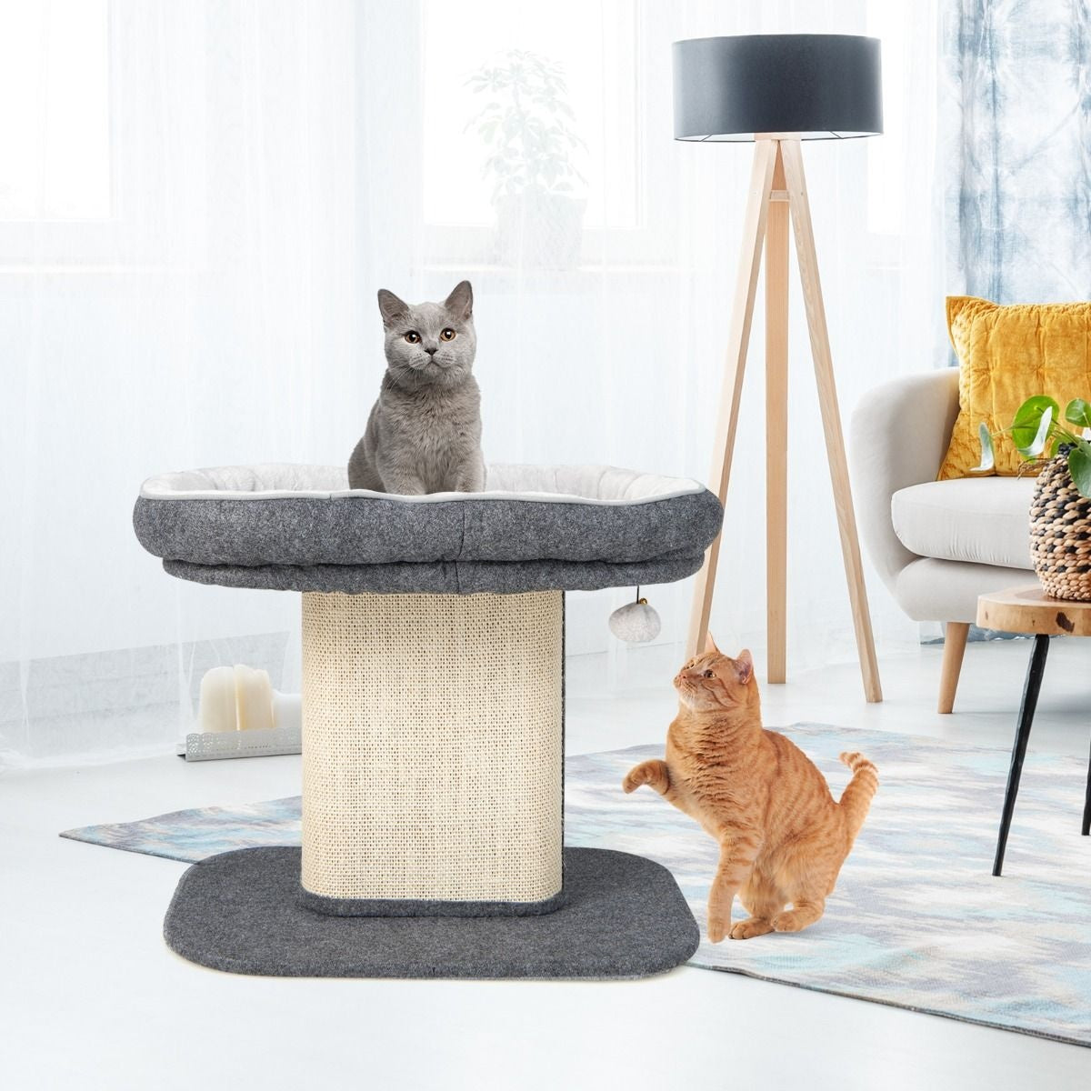 Coast Modern Scratch Tree Cat Furniture met grote pluche stoel en sisal krasplaat grijs
