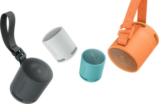 Sony SRS-XB100 - Draagbare Bluetooth Speaker - Zwart