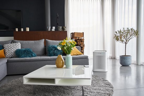 Rowenta Luchtreiniger - Pure Air Genius PU3080F0 - Wit