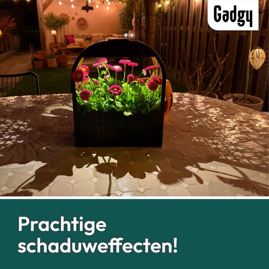 Gadgy Solar Wandlamp met Uitneembare Bloembak – Tuinverlichting op Zonneenergie – Warm Wit LED – 30x25 cm – Zwart Metaal