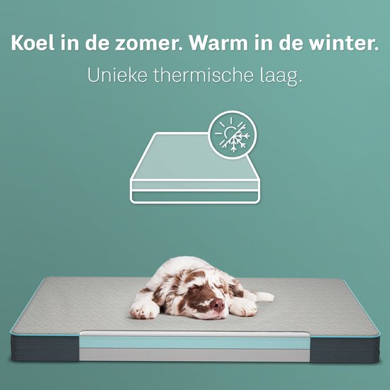 CozySense® – Orthopedisch Hondenkussen 60 X 40 Cm – Maat S - Waterdicht – Geschikt Als Benchkussen & Hondenbed