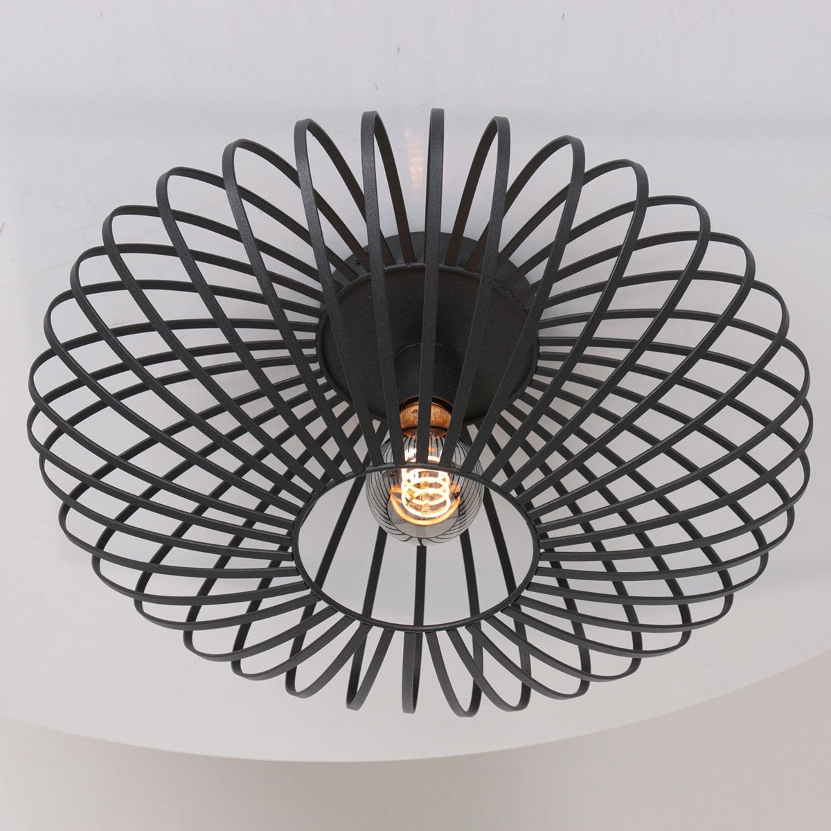 Steinhauer Dunbar AN plafondlamp 1-lichts 40cm