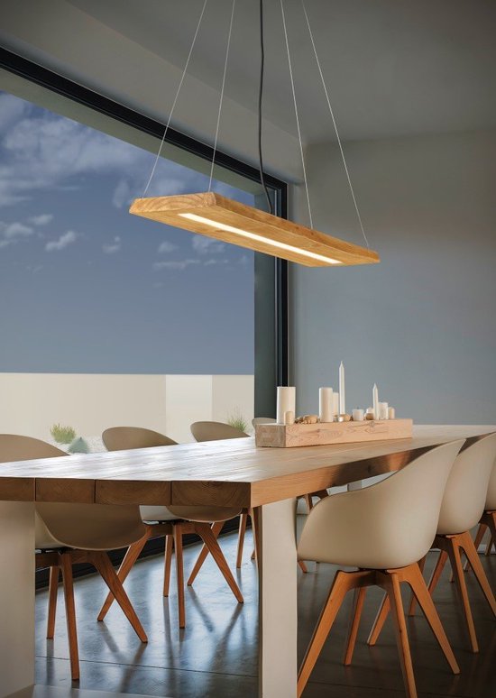 Hanglamp Trio Leuchten Brad - Bruin