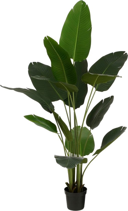 Mica Decorations Bananenboom in Pot - Kunstplant - Groen - 30x30x180 cm
