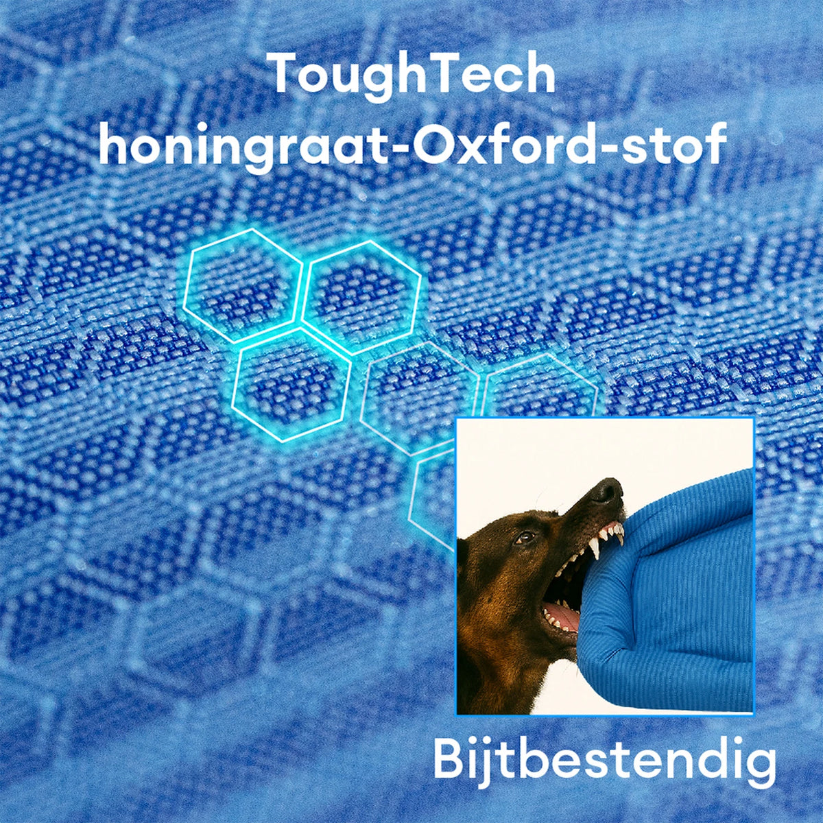 FUNNYFUZZY Orthopedisch Hondenbed - L - 75 x 58 x 13 cm - Donkergroen - Waterbestendig