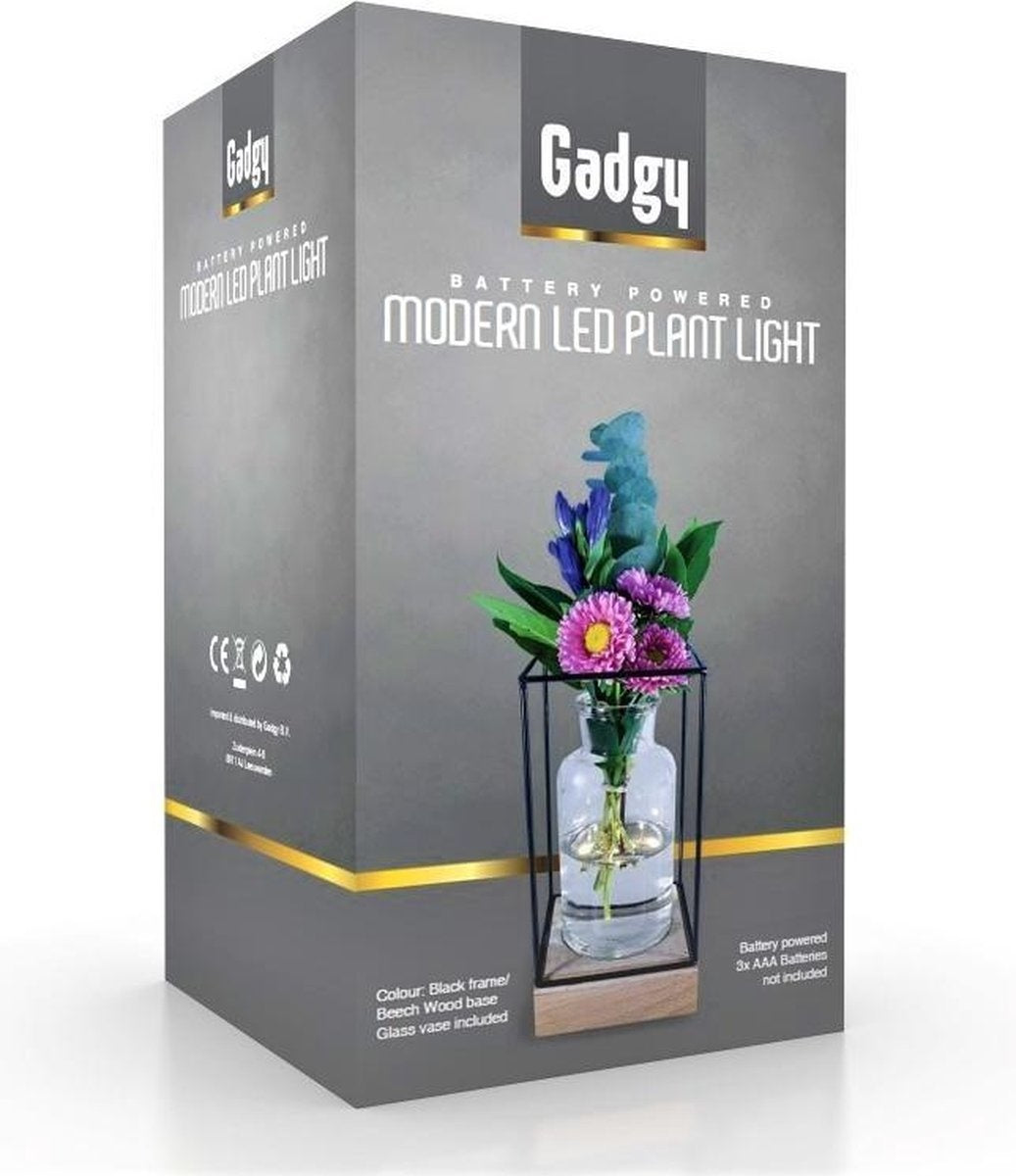 Gadgy Vaas met LED Verlichting - Vaaslamp - Glazen Vaas met Lamp - Moederdag Cadeautje - Hydroponie - Werkt op Batterijen – Tafellamp  - Ø11 cm
