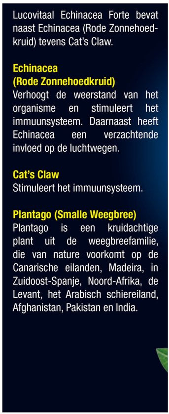 Lucovitaal - Echinacea Cat's Claw Weerstand druppels - 100 ml - Voedingssupplement